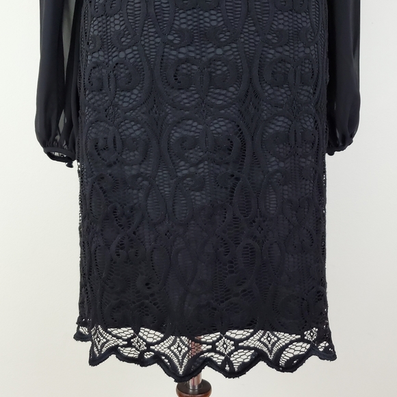 Adrianna Papell Lace Chiffon Scalloped Shift Dress - Picture 7 of 16